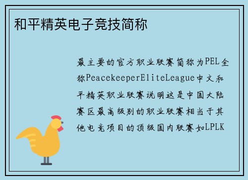 和平精英电子竞技简称